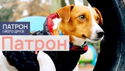 Патрон Патрон