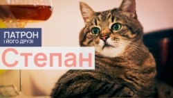 Степан Степан