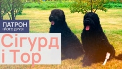 Сiгурд i Тор  Сiгурд i Тор