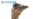 Baltic_230428_BG