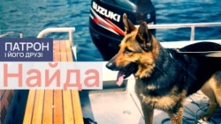 Найда Найда